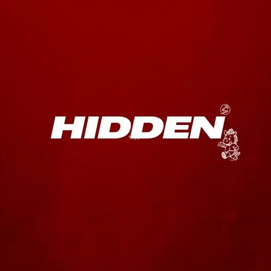 Hidden store