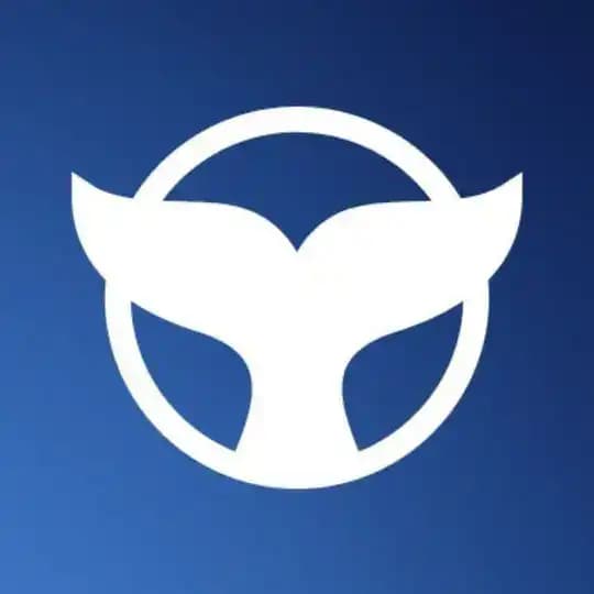 🔥Meta Whale | Holiverse Ai 🔥