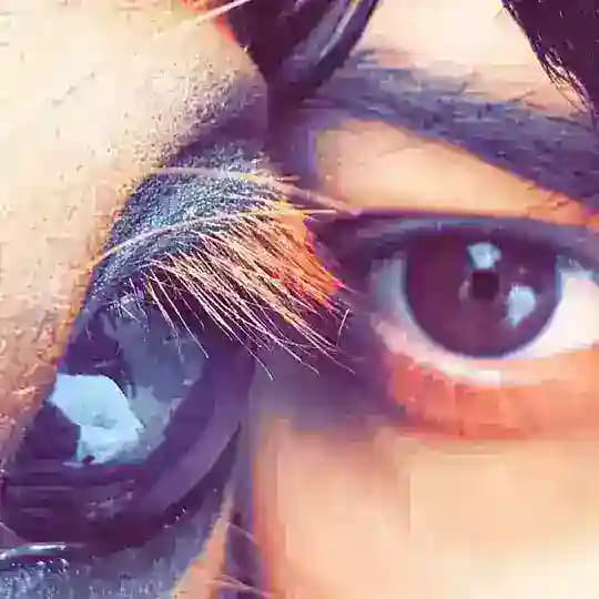 حياة الخيل ..🏇😍