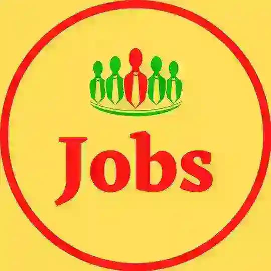 Jobs (IT | Data Science | Coding | Tech)
