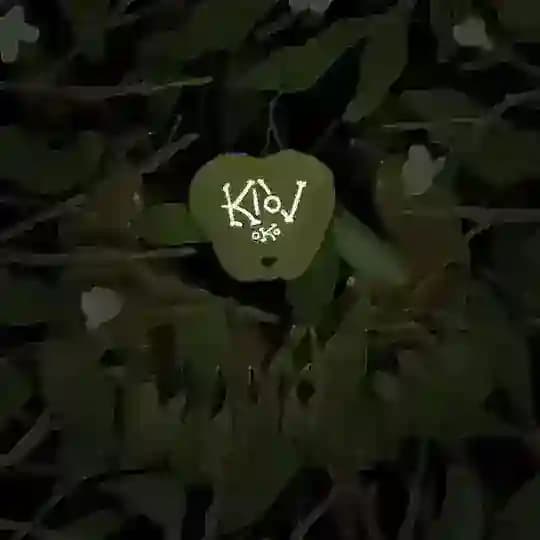 KlovOKO art 🌿🪲✨