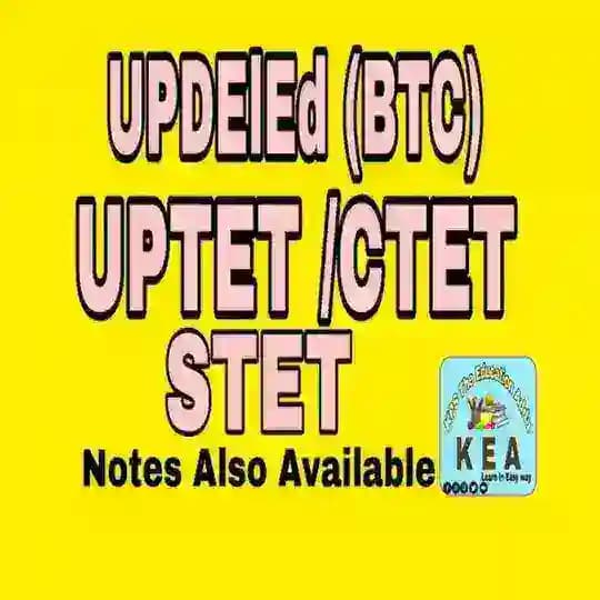 UPTet/Ctet/Stet/DElEd(BTC)/B.Ed. /All Competitive Exam Preparation