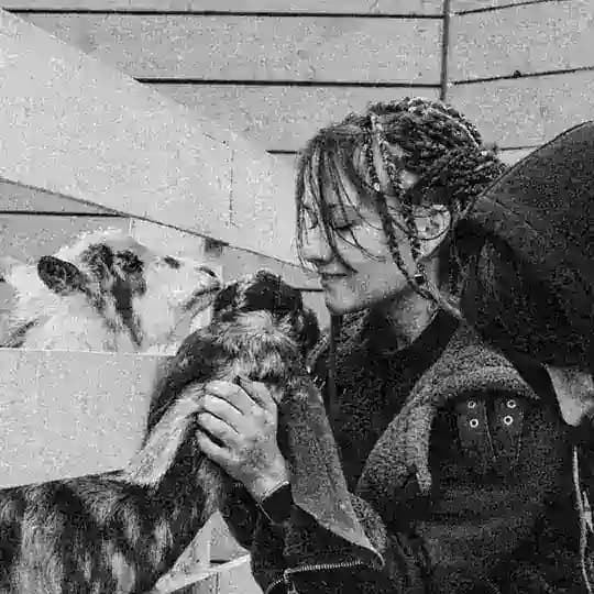 Арина не придумала название