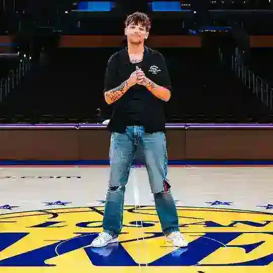 Louis Tomlinson | How Did We Get Here? World Tour Profile