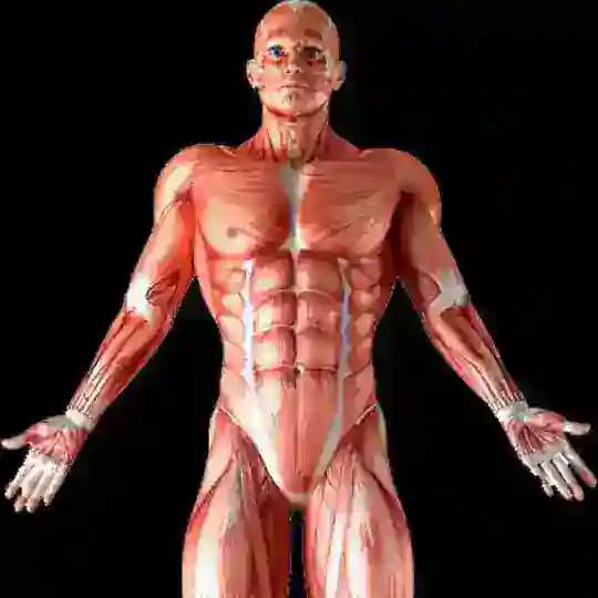 Muscle & Motion Profile