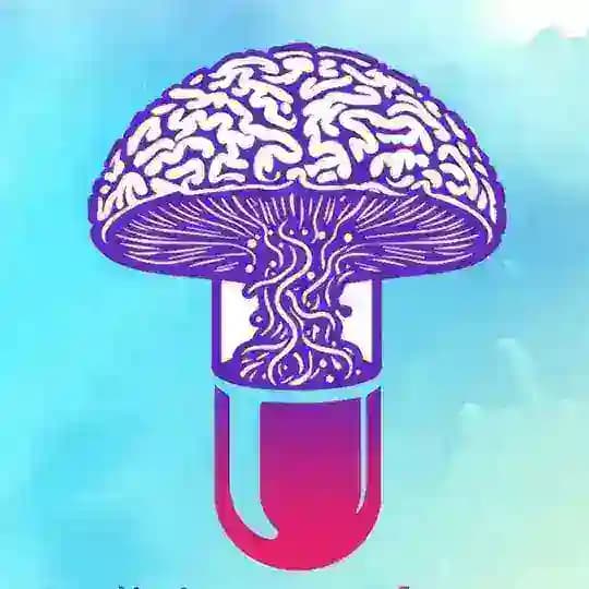 قارچ دارویی سیلوسایبین مجیک ماشروم