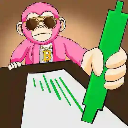 میم کوینر Meme Live ㊙️