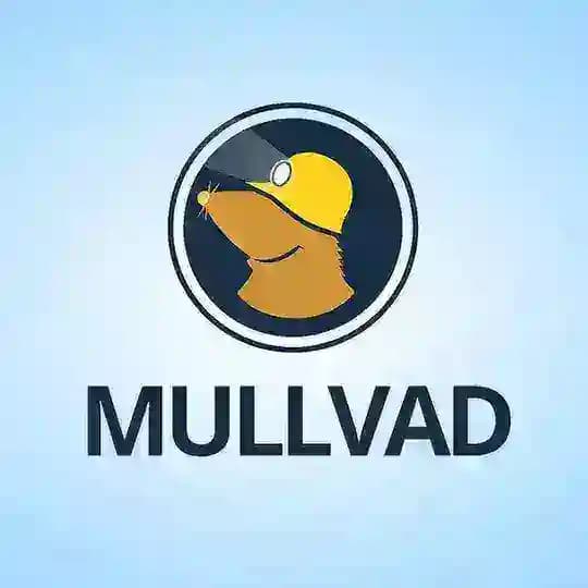 Mullvad VPN