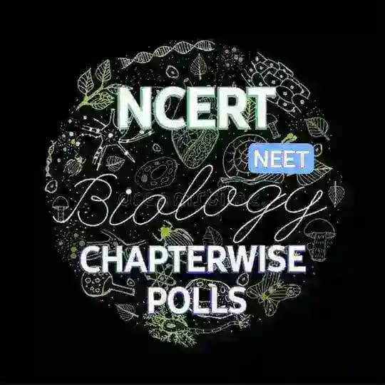 NEET QUIZ BIOLOGY CHANNEL π©ΊπβοΈ