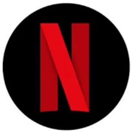 NETFLIX WEB SERIES