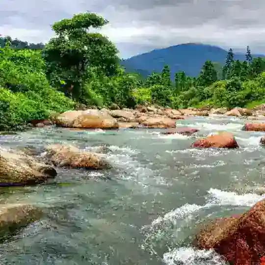 প্রাকৃতিক সৌন্দর্য 🌿🌱🌲
