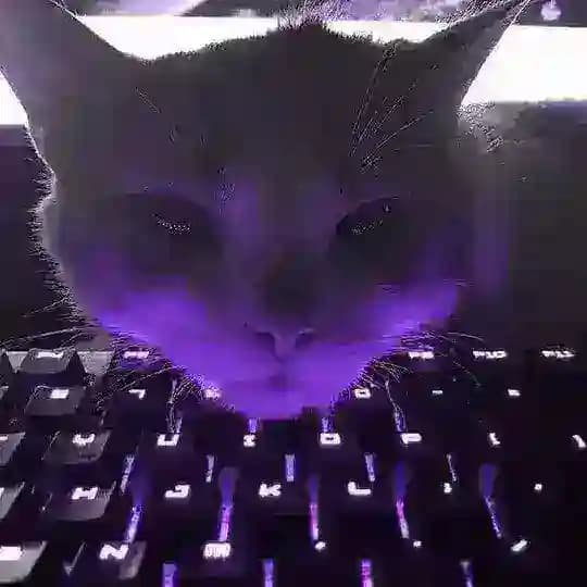 NedoModules