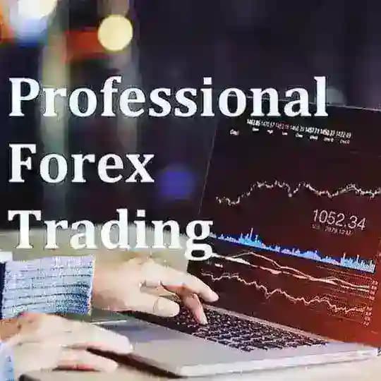 ONLINE INVESTORS INDIA Profile