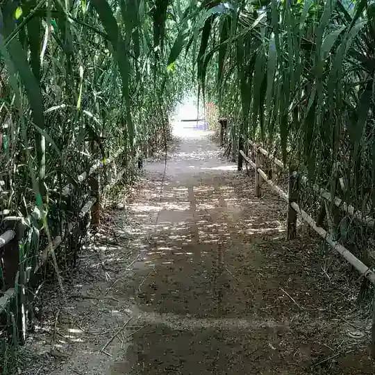 PERSON wird :mensch Profile