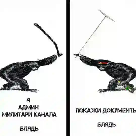 Чешир таежный и дело о еловых мандаринах