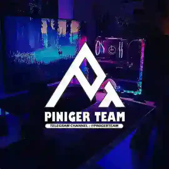 PiniGer™️