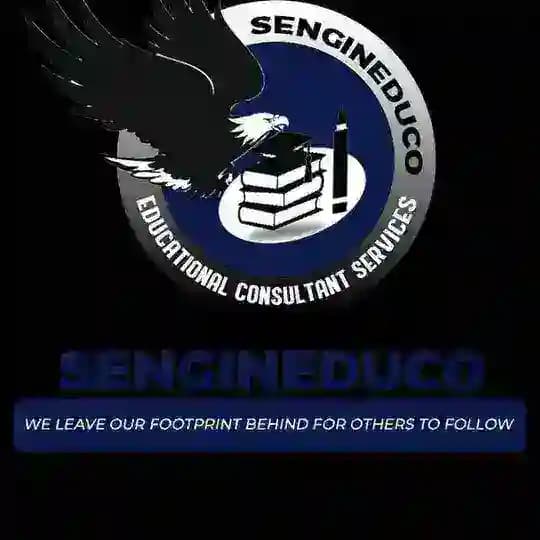 SenGinEduco Educational Consultant. Scholarships & internship channel
