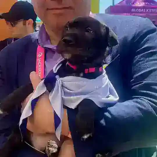 Small Cap Lee (Tom Lee's Dog)