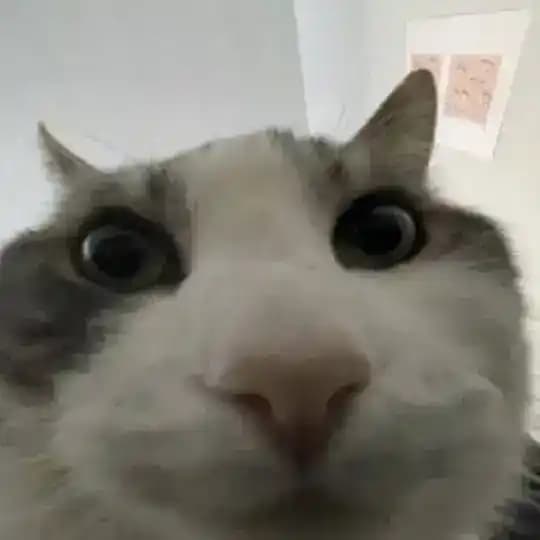 MyChannel