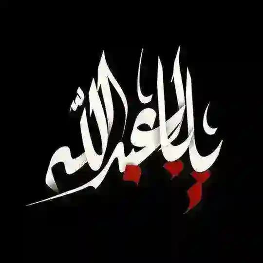 تحت ظل الأمام الحسين «ع» ♥