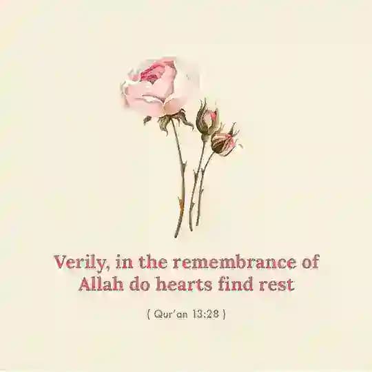 ๐ฟ The Remembrance of ALLAH ุงููู
