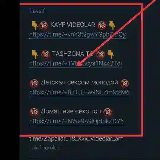🔞 TUNGI CHAT 🔞
