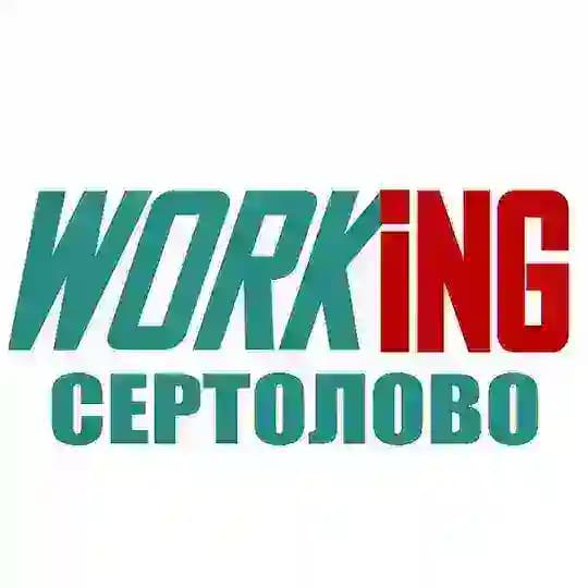 СЕРТОЛОВО Работа
