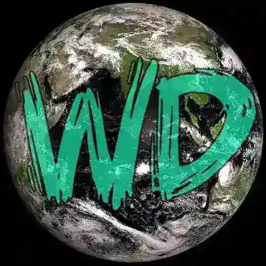 WORLDIVERGENT™️