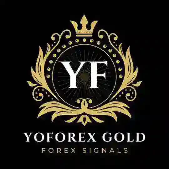 YoForex Gold