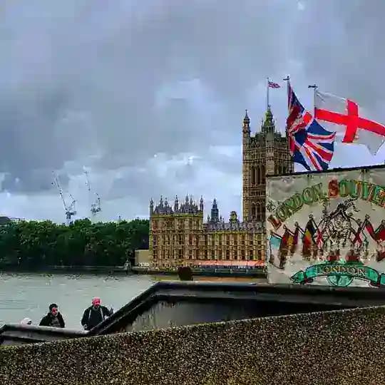 𝗡𝗮𝗶𝗺𝗮 𝗙𝗼𝗿𝗲𝘅 𝗔𝗰𝗮𝗱𝗲𝗺𝘆