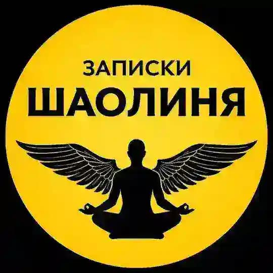 Записки Шаолиня🧠🤝❤️Саморазвитие в удовольствие