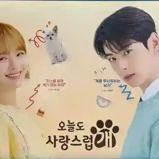 A Good Day to be a Dog kdrama Eng Sub