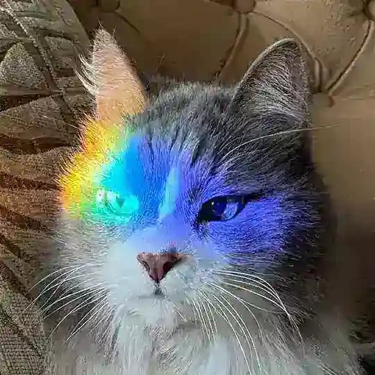 Алла снова все проспала