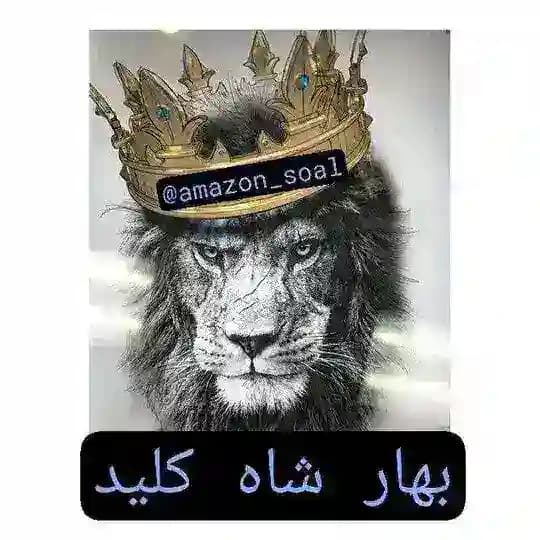 AMAZON SOAL بهار شاه کلید