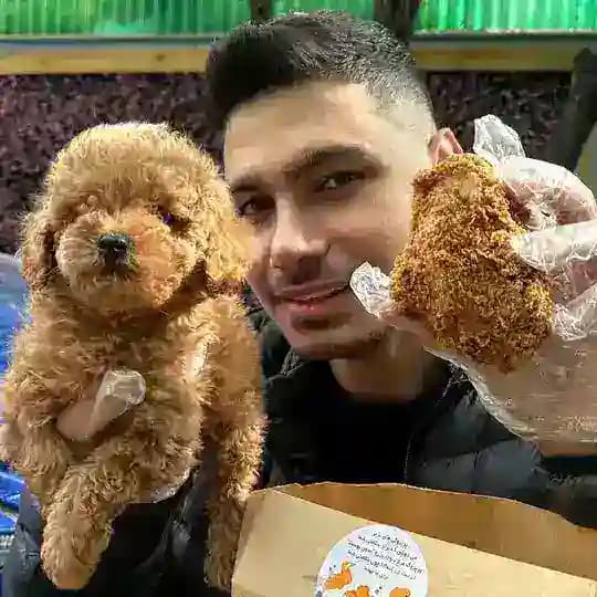 Asadipet