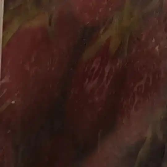 جَࢪۅٛبَاެتَ اެنِحِࢪاެفَ سِتَيَكَࢪاެتَ اެبَاެحِيَة ࢪۅٛمِنِسِيَة Profile