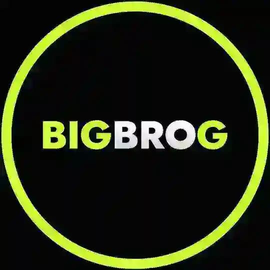 Bigbrog_Resmi