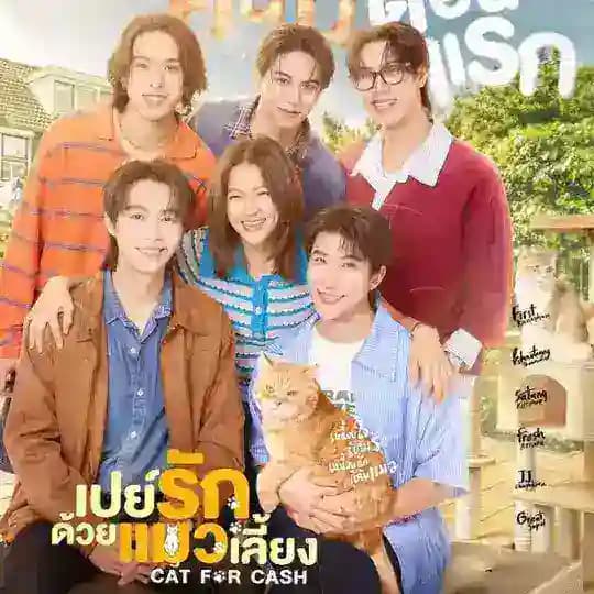 Cat For Cash Series πΉπ