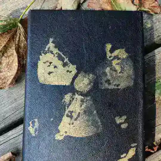 Дневник Беркута S.T.A.L.K.E.R