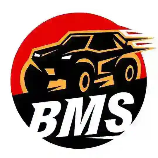 BMS | Багги в России