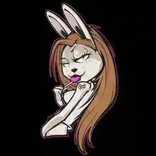 BUNNYTEEN π