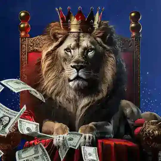 🎰AÇIK SİTE DUYURU‼️