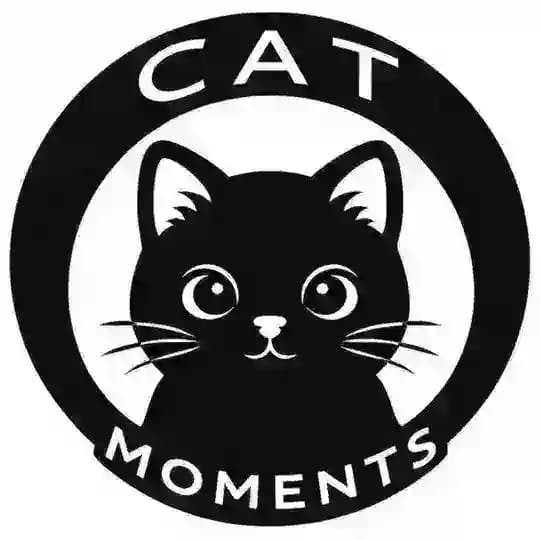 Cat Moments ™