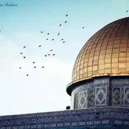 قناة الإعداد