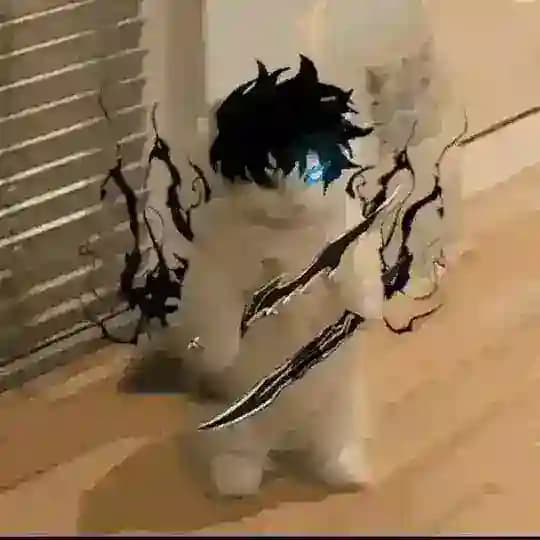 Yᴀᴛᴏ