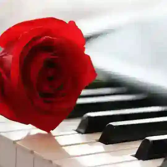 🇺🇦 Християнські пісні та ✝️ фонограми Profile