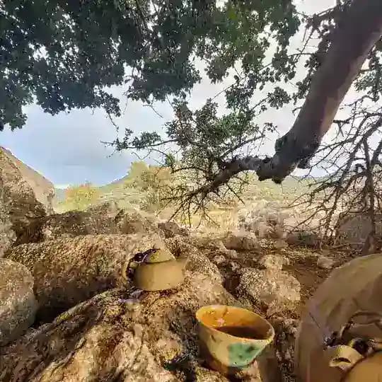 солнце дерево дракон | керамика