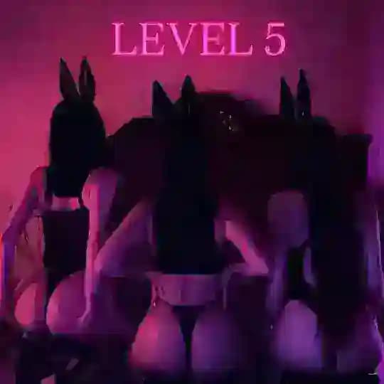 Level 5