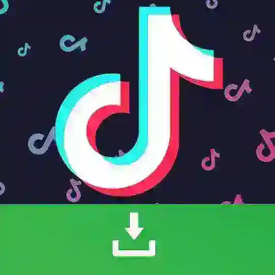 Tik Tok Downloader