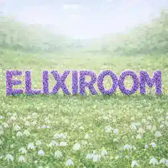 ELIXIROOM